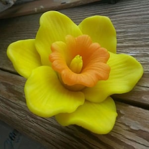3D Narcissus Flower Silicone Mold, Flower Soap Mold, Flexible Silicone Candle Mold, Food grade silicone mold, Chocolate mold, Flower Mold
