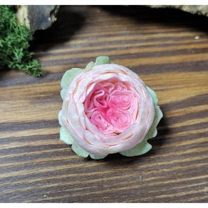 May include: A close-up of a light pink and hot pink rose with green leaves. The rose is in full bloom, displaying its intricate petal arrangement. The flower rests on a wooden surface, with a blurred background.