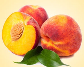 Fresh Peach Fragrance Oil, Candle & Soap Making, Air Freshener