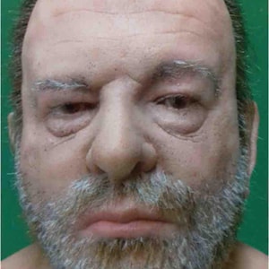 Realistic silicone disguise mask, Mister H