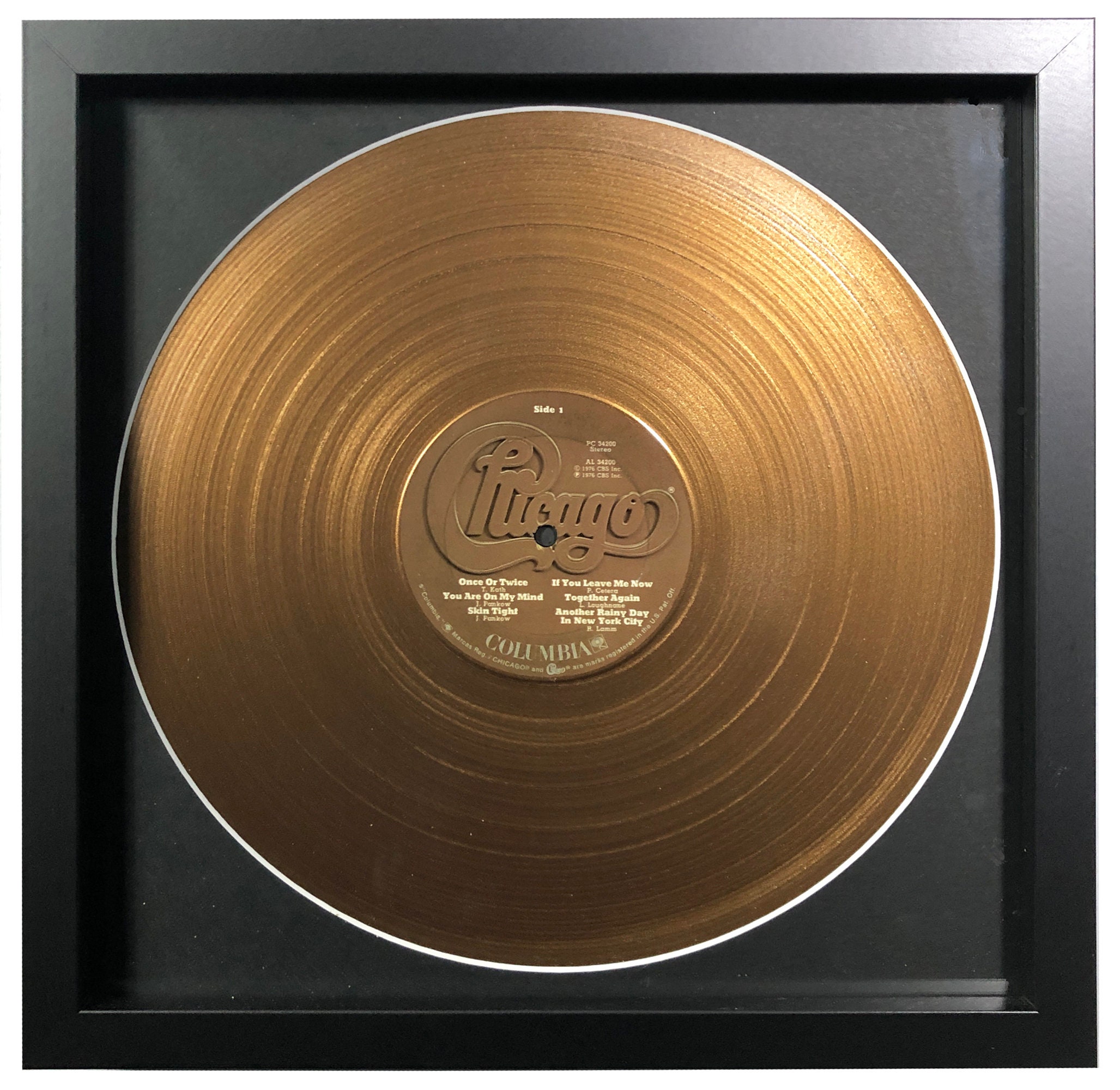 Bronze Hand-painted Vinyl Record - Etsy