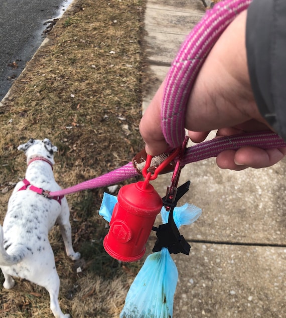 Dollar tree on sale dog leash