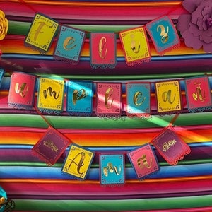 Mexican Fiesta Theme Birthday Banner, Colorful Party Decorations, Papel Picado Banner, Baby, Bridal Shower Banner, Custom Party Banners