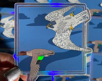 Peregrine Falcon Sticker/ Bird Sticker/ Holographic Falconry Sticker/ Raptor Sticker