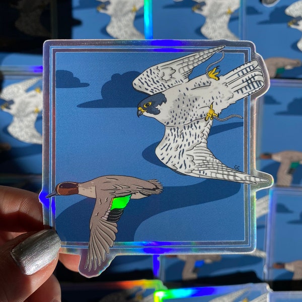 Peregrine Falcon Sticker/ Bird Sticker/ Holographic Falconry Sticker/ Raptor Sticker