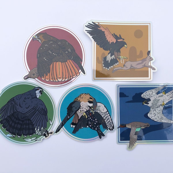 Holographic Falconry Sticker Bundle/ Bird Stickers/ Raptor Stickers/ Laptop Decals