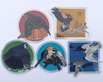 Holographic Falconry Sticker Bundle/ Bird Stickers/ Raptor Stickers/ Laptop Decals