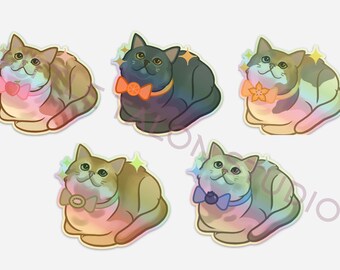 Holographic Fruit Cat Stickers/ Cat Loaf Sticker/ Cute Cat Sticker/ British Shorthair Sticker