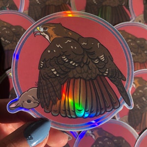Red-tailed Hawk Sticker/ Bird Sticker/ Holographic Falconry Sticker/ Raptor Sticker