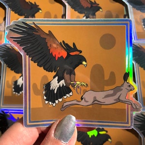 Harris&#39;s Hawk Sticker/ Bird Sticker/ Holographic Falconry Sticker/ Raptor Sticker