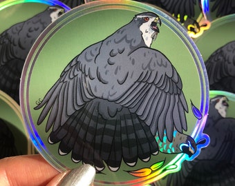 Goshawk Sticker/ Bird Sticker/ Holographic Falconry Sticker/ Raptor Sticker