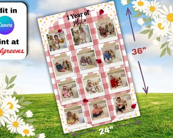 Customizable Ladybug First Birthday Milestone Year Birthday Banner (Digital File)