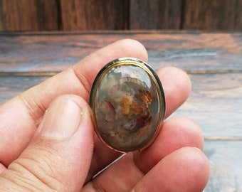 Bague en bois pétrifié opalisé