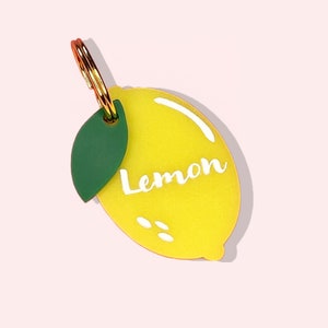 Lemon Custom Dog Tag, Personalized Pet ID Tag, Engraved Collar Name Tag for Cat Kitten Puppy, Fruit Dog Tag