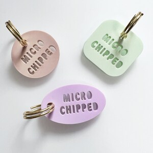 Micro Chipped Dog Tags, Pet ID Tags for Dogs and Cats - Etsy