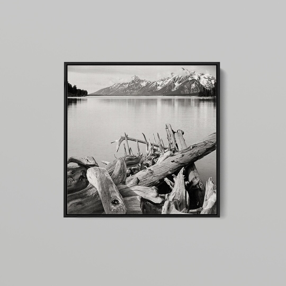Ansel Adams - Driftwood on Shore of Jackson Lake, With Teton Range