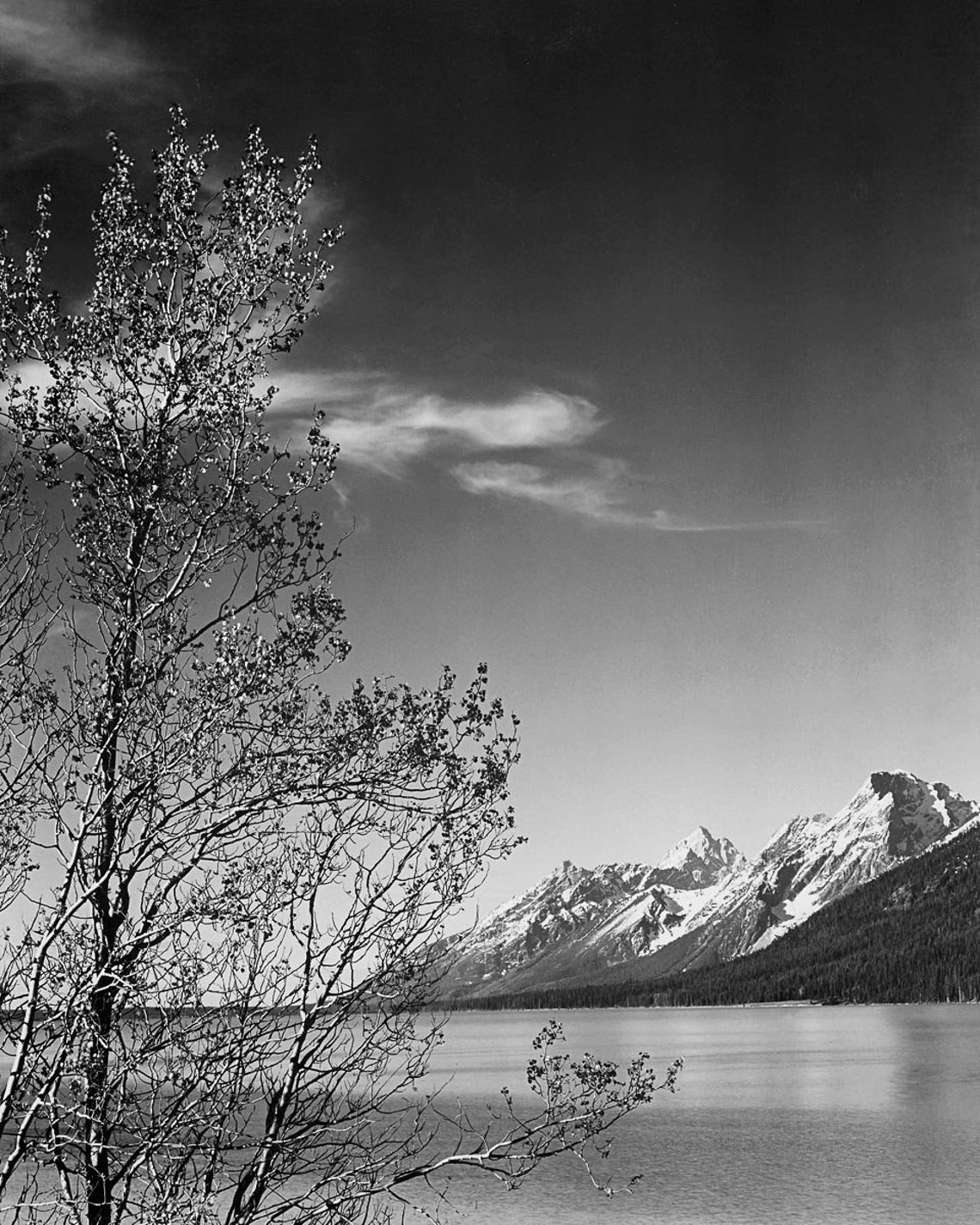 Ansel Adams View of mountains Grand Teton National Park | Etsy