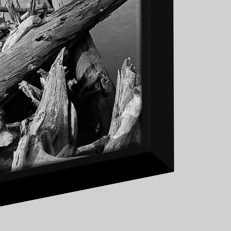 Ansel Adams - Driftwood on Shore of Jackson Lake, With Teton Range