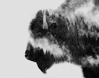Bison By Angyalosi Beata available as Stretched Gallery Wrap Canvas, Framed Canvas, Unframed Art Print or Framed Art Print + Free Shipping