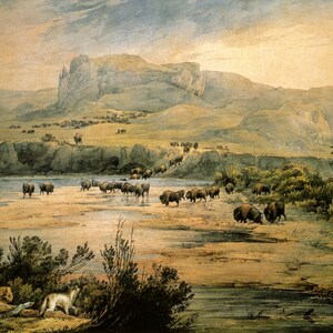 Landscape with buffalo on the upper Missouri by Karl Bodmer Western Art Print available as Stretched Canvas, Framed Canvas + Ships Free