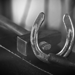 Horseshoe by The Yellowstone Collection as Paper, Canvas, or Outdoor Metal, Rolled, Stretched or Framed + Free Shipping