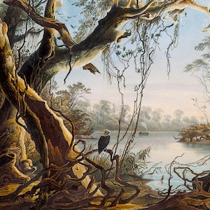Mouth of Fox River Indiana by Karl Bodmer available as Stretched Gallery Wrap Canvas, Framed Canvas or Framed Art Print + Free Shipping