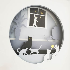 Cadre lumineux 3D, Histoires de chats