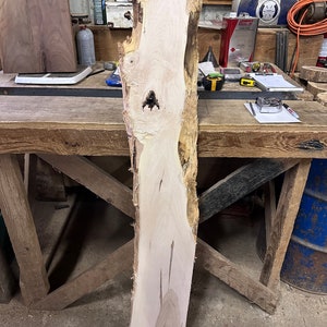 Pode incluir: Uma grande laje de madeira de cor clara com um nó e padrões de grão. A laje está apoiada em uma bancada de trabalho de madeira.