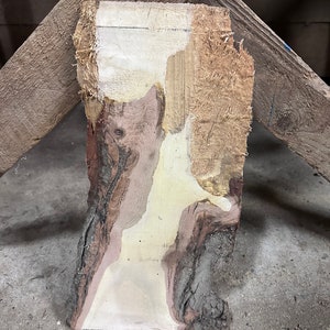 Pode incluir: Um close-up de uma peça de madeira com um padrão de grão único. A madeira tem uma cor marrom clara com veios e nós marrons mais escuros. A madeira é áspera e texturizada.