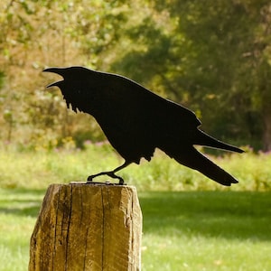 Raven Crow Metal Bird Steel Yard Garden Art - Free Shipping