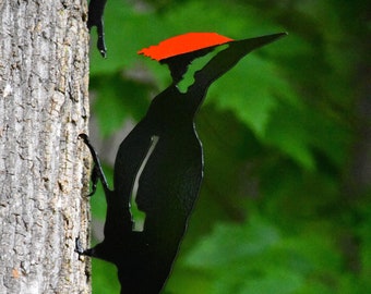 Woodpecker Bird Metal Garden Yard Art - Whimsical Pileated - Free Shipping