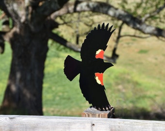 Red-Winged Blackbird in Flight - Free Shipping