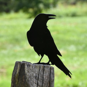 Raven Crow Metal Bird Yard Garden Art - free Shipping - Great Gift - B