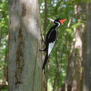 Ivory Billed Woodpecker - Metal Steel Bird Garden Yard Art for Outdoors - Great Gift - Free shipping - A