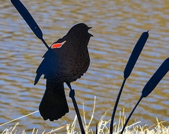 Red Winged Blackbird Metal Bird Garden / Yard Art - Gift - Free Shipping