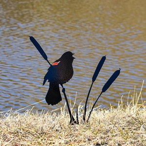 Red Winged Blackbird Metal Bird Garden / Yard Art - Gift - Free Shipping