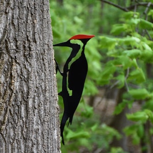 May include: Black metal silhouette of a woodpecker with a red head perched on a tree trunk. The background is a blurred image of green leaves.