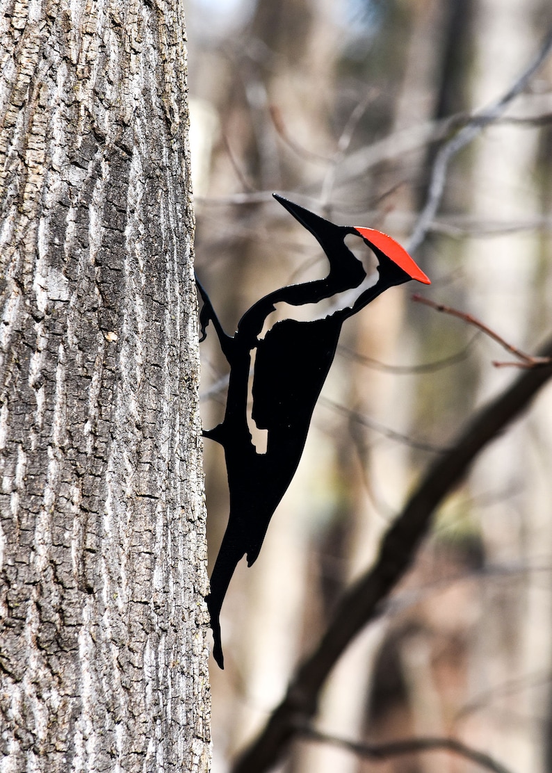 May include: Black metal silhouette of a woodpecker perched on a tree trunk. The woodpecker has a red crest and white markings on its black body.