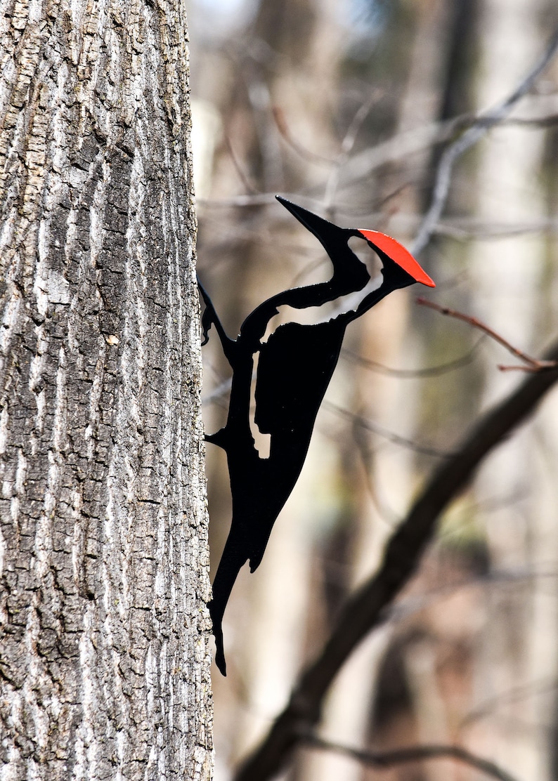 Pileated Woodpecker Metal Bird Steel Garden Yard Art Free Shipping image 2