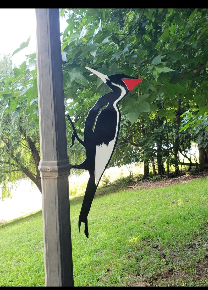 Ivory Billed Woodpecker Metal Steel Bird Garden Yard Art for - Etsy
