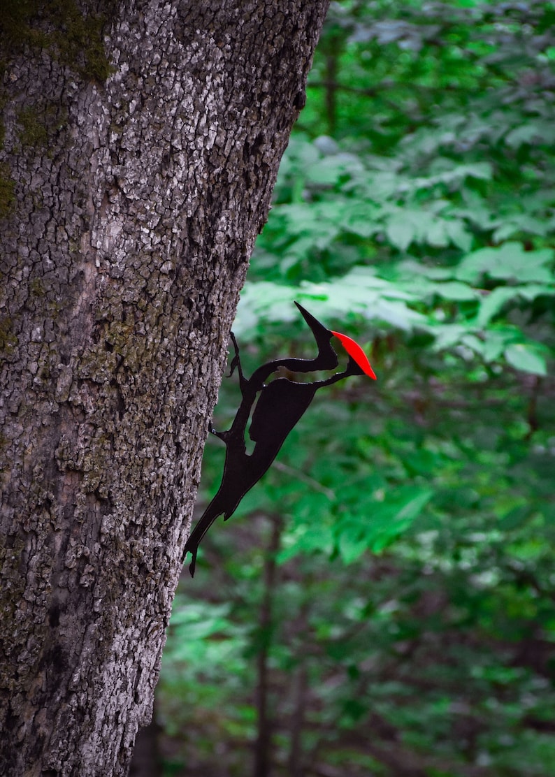 May include: A black metal silhouette of a woodpecker with a red head, mounted on a tree trunk.