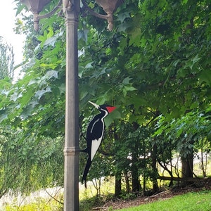 May include: A black and white woodpecker with a red crest is perched on a lamppost with three black lanterns. The lamppost is in a grassy area with green trees in the background.