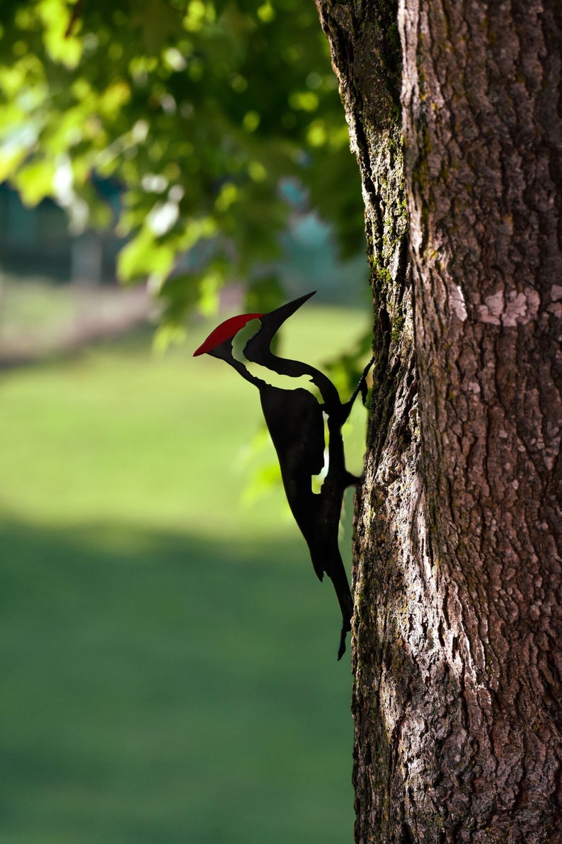 May include: A black and white woodpecker with a red head perched on a tree trunk. The bird is facing to the right and has its wings folded. The tree trunk is brown and has a rough texture.