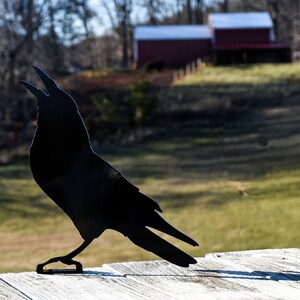 May include: Black metal silhouette of a crow with its beak open, as if singing. The crow is perched on a wooden surface with a blurred background of a red barn and green grass.