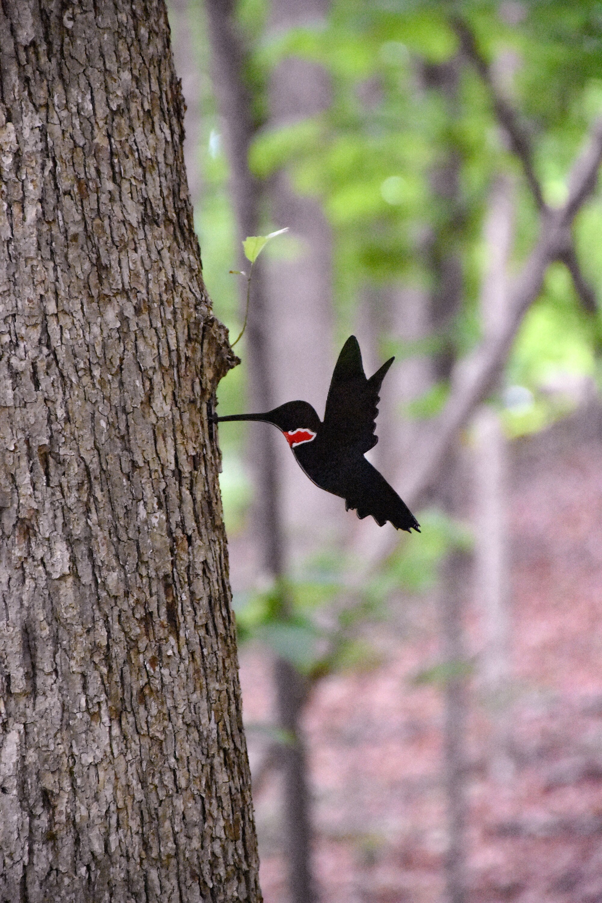  Ruby bird　ハイパーセール本日のみ Ruby Throated Hummingbird Metal Steel Garden Yard Art - Free
