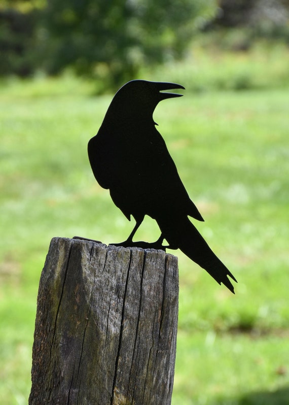 Raven Crow Metal Bird Yard Garden Art - free Shipping - Great Gift - B
