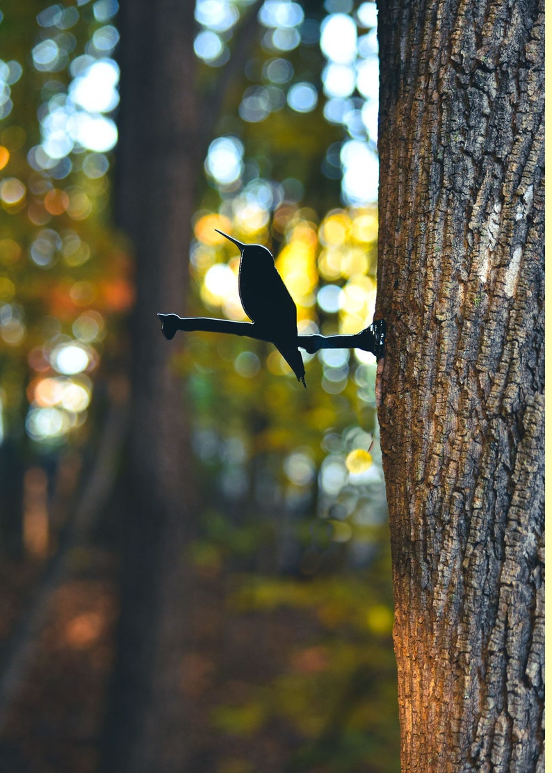 May include: A black metal hummingbird silhouette perched on a branch, mounted on a tree trunk. The background is a blurred out-of-focus image of a forest with bokeh.