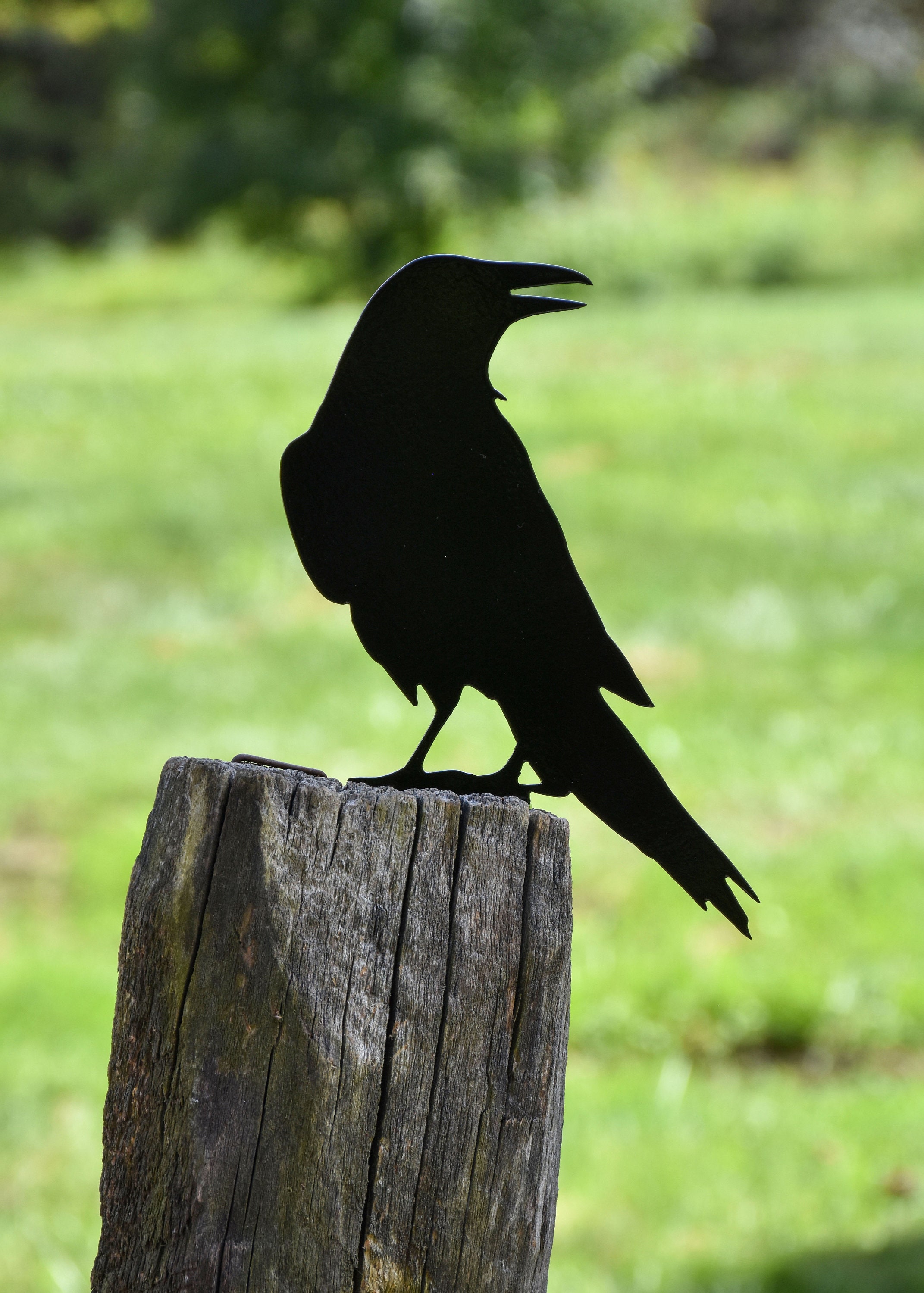 Grand corbeau 16" (B) - Art de jardin en métal - livraison gratuite
