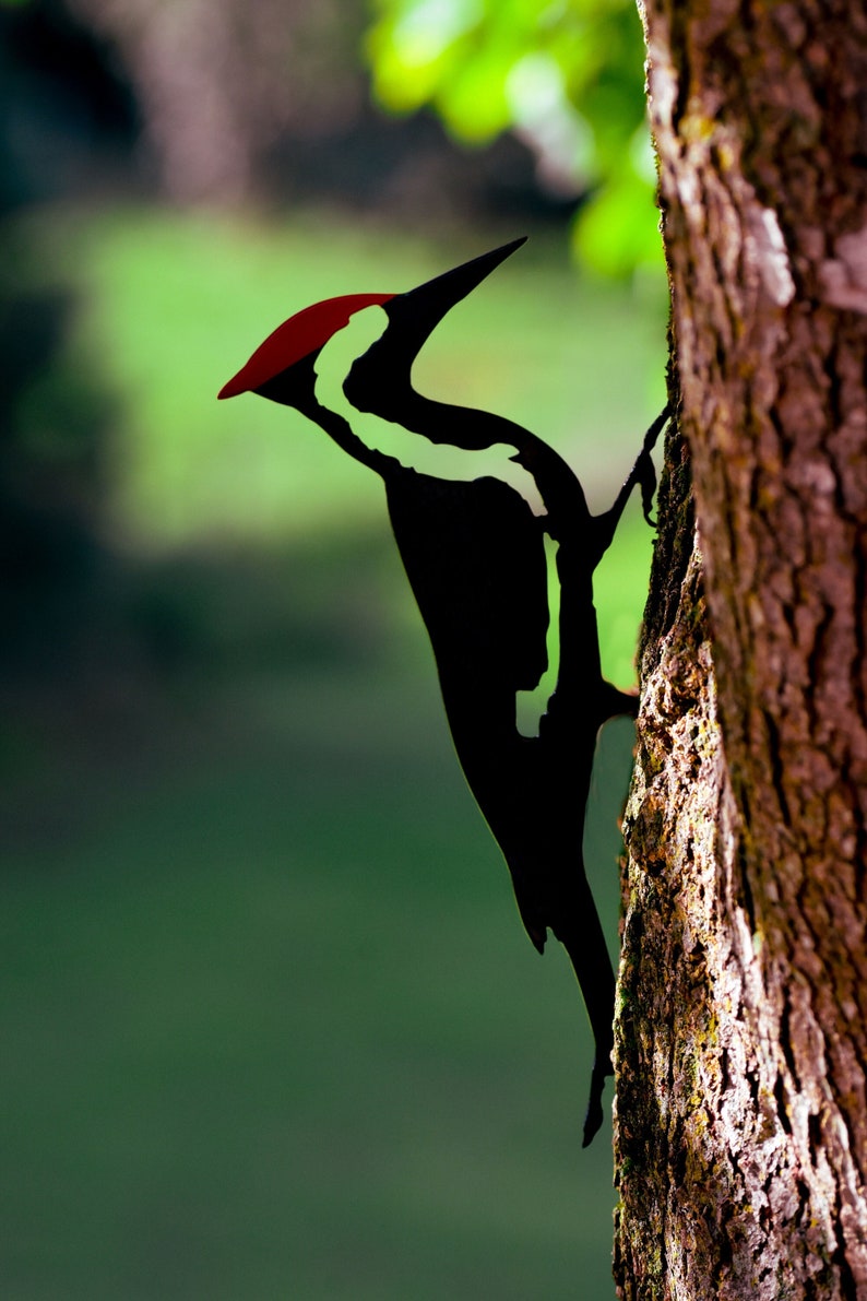 May include: A black and white woodpecker with a red head perched on a tree trunk. The bird is facing to the right and its beak is open.