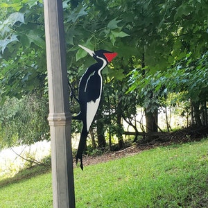 May include: Black and white metal woodpecker silhouette with a red beak mounted on a gray pole. The woodpecker is facing right and is perched on a branch. The background is a green lawn and trees.